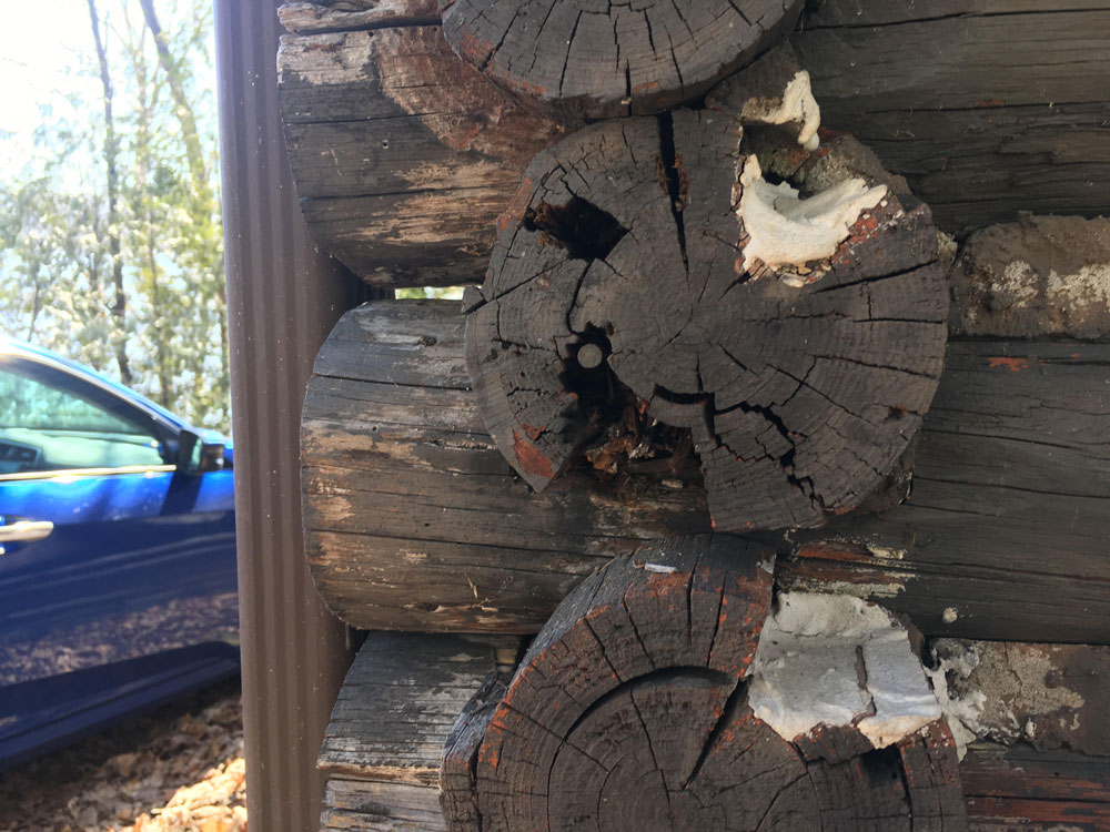 This is a 1950 cottage constructed by logs.